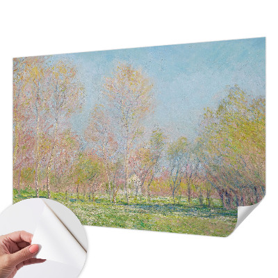 Fotomurale adesivo Parco primaverile