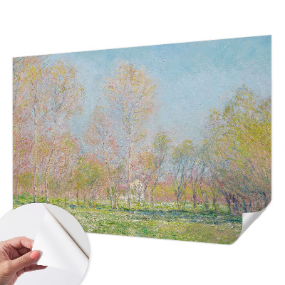 Fotomurale adesivo Parco primaverile