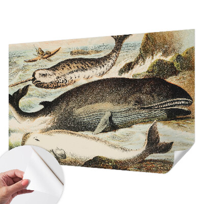 Carta da parati 3D Giganti del mare