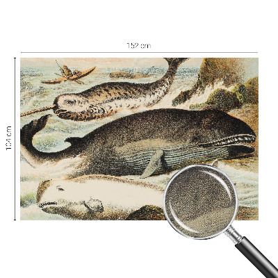 Carta da parati 3D Giganti del mare