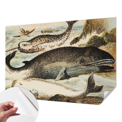 Carta da parati 3D Giganti del mare