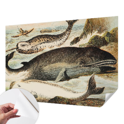 Carta da parati 3D Giganti del mare