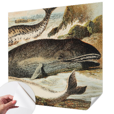 Carta da parati 3D Giganti del mare