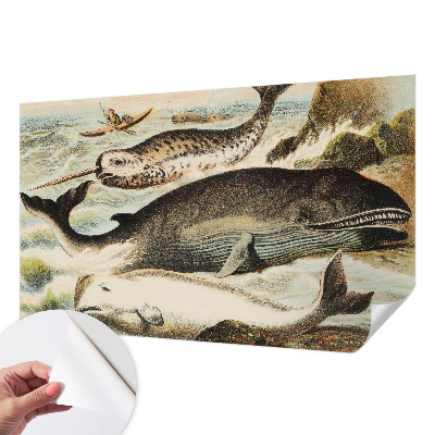 Carta da parati 3D Giganti del mare