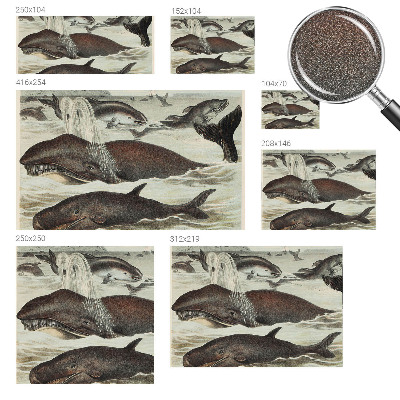 Fotomurale 3D Creature marine