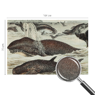 Fotomurale 3D Creature marine