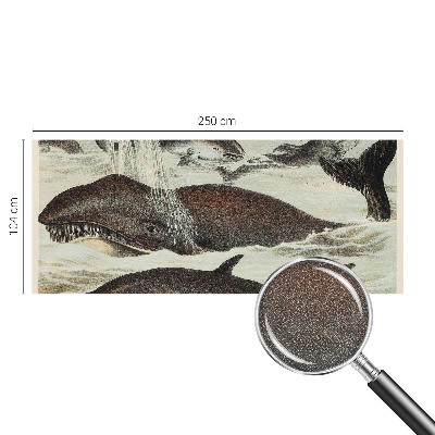 Fotomurale 3D Creature marine