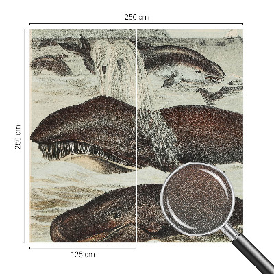 Fotomurale 3D Creature marine