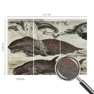 Fotomurale 3D Creature marine