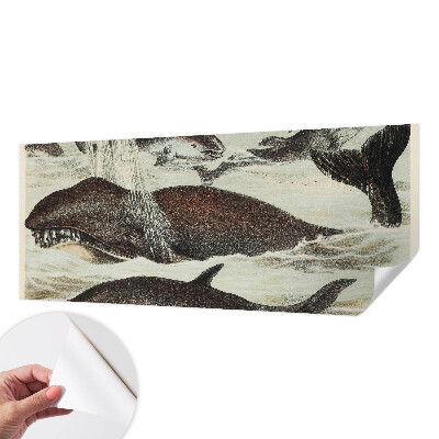 Fotomurale 3D Creature marine