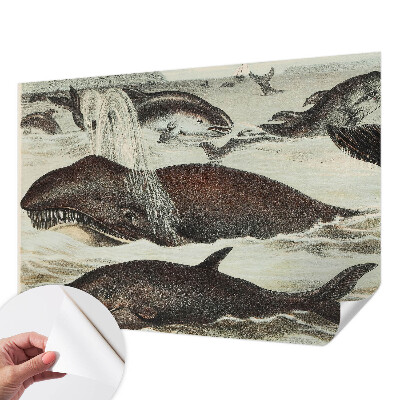 Fotomurale 3D Creature marine