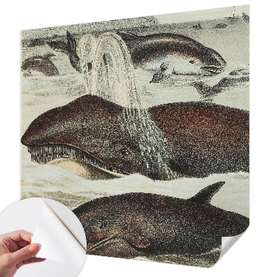 Fotomurale 3D Creature marine