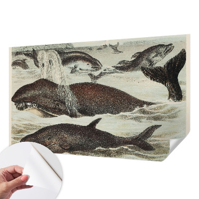 Fotomurale 3D Creature marine