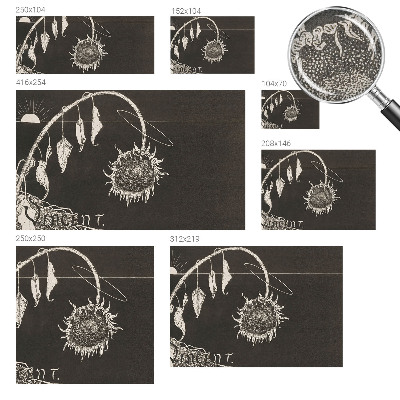 Carta da parati effetto profondità Girasole nostalgico