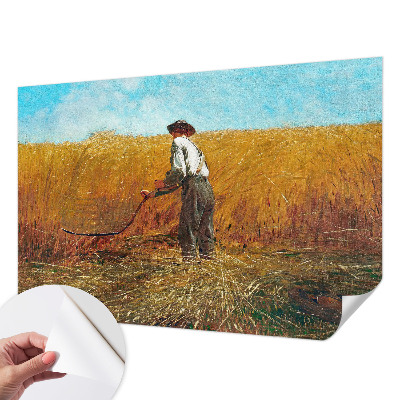 Fotomurale per cameretta Raccolto al sole