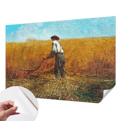 Fotomurale per cameretta Raccolto al sole