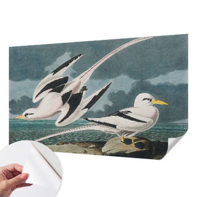 Carta da parati adesiva Uccelli in riva al mare