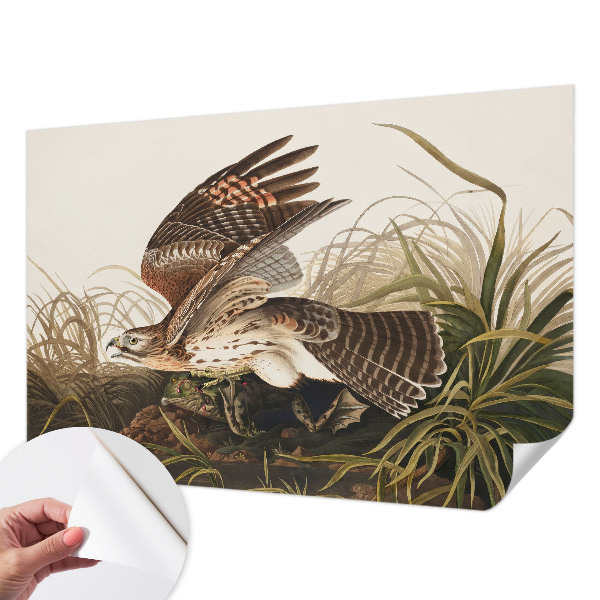 Fotomurale adesivo Bellezza alata