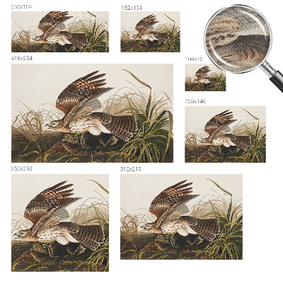 Fotomurale adesivo Bellezza alata