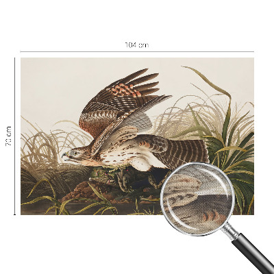 Fotomurale adesivo Bellezza alata