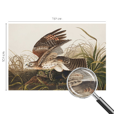 Fotomurale adesivo Bellezza alata