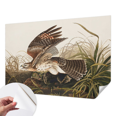 Fotomurale adesivo Bellezza alata