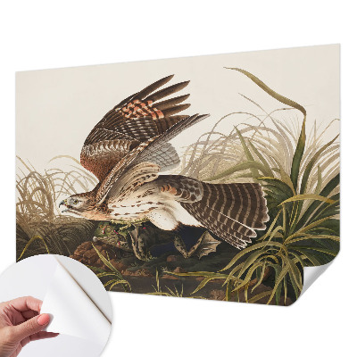 Fotomurale adesivo Bellezza alata