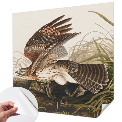 Fotomurale adesivo Bellezza alata