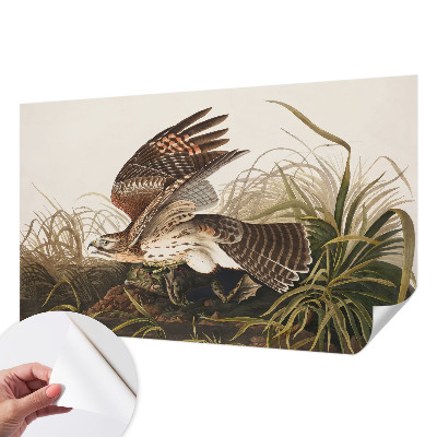 Fotomurale adesivo Bellezza alata