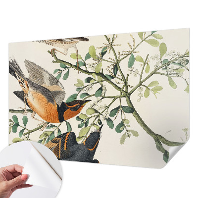 Fotomurale effetto 3D Uccelli colorati