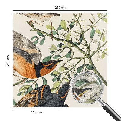 Fotomurale effetto 3D Uccelli colorati