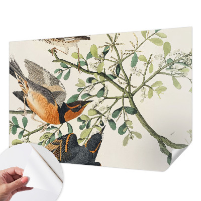 Fotomurale effetto 3D Uccelli colorati