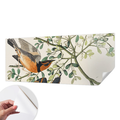 Fotomurale effetto 3D Uccelli colorati