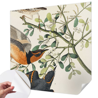 Fotomurale effetto 3D Uccelli colorati