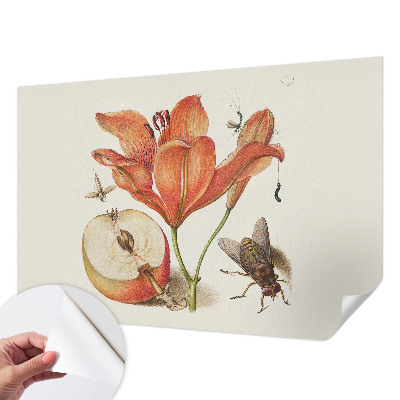 Carta da parati adesiva Illustrazione botanica