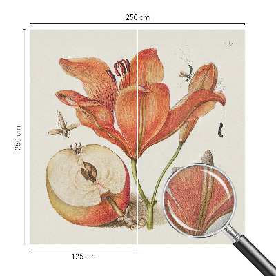 Carta da parati adesiva Illustrazione botanica