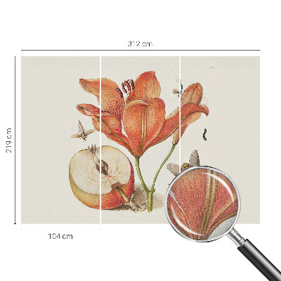Carta da parati adesiva Illustrazione botanica