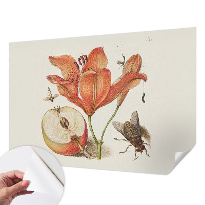 Carta da parati adesiva Illustrazione botanica