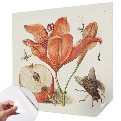Carta da parati adesiva Illustrazione botanica