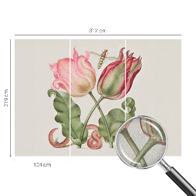 Fotomurale per cameretta Bellezza del tulipano