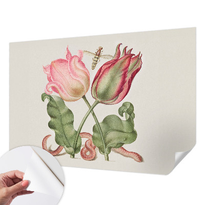 Fotomurale per cameretta Bellezza del tulipano