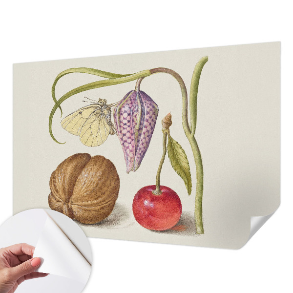 Fotomurale adesivo Pianta farfalla