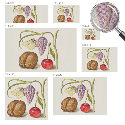 Fotomurale adesivo Pianta farfalla