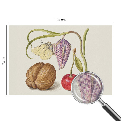 Fotomurale adesivo Pianta farfalla