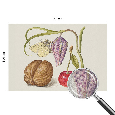 Fotomurale adesivo Pianta farfalla