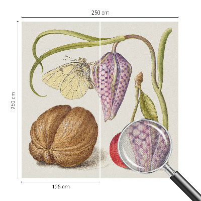 Fotomurale adesivo Pianta farfalla