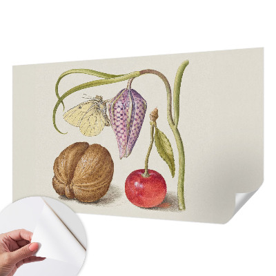 Fotomurale adesivo Pianta farfalla