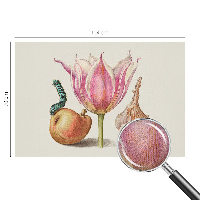 Fotomurale 3D simbiosi naturale