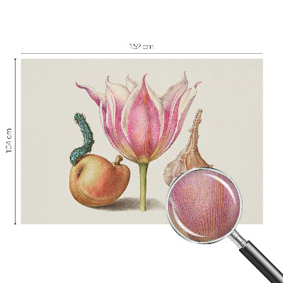 Fotomurale 3D simbiosi naturale