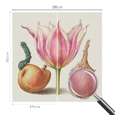 Fotomurale 3D simbiosi naturale